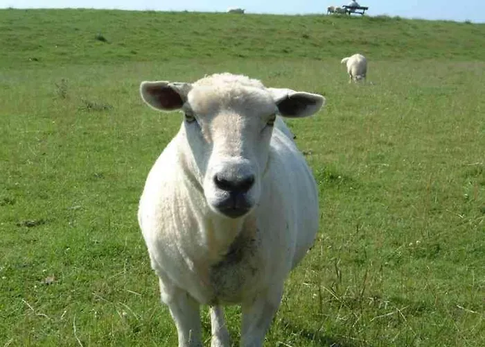 Zur Alten Schmiede *